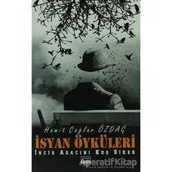 İsyan Öyküleri - Hamit Çağlar Özdağ - Siyah Beyaz Yayınları