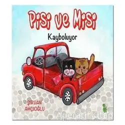 Pisi ve Misi Kayboluyor - Şirvan Ahçıoğlu - Yeşil Dinozor