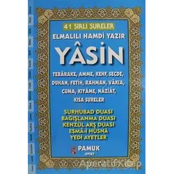 41 Sırlı Sureler Yasin Tebareke Amme Camii Boy (Yas-226) - Kolektif - Pamuk Yayıncılık