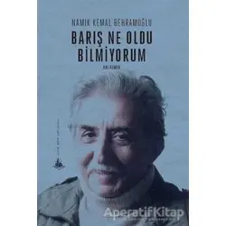 Barış Ne Oldu Bilmiyorum - Namık Kemal Behramoğlu - Yitik Ülke Yayınları