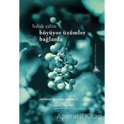 Büyüyor Üzümler Bağlarda - Haluk Şahin - Yitik Ülke Yayınları