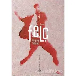 Felç - Turgay Yılmaz - Yitik Ülke Yayınları