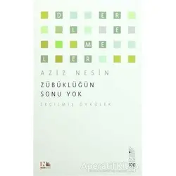 Zübüklüğün Sonu Yok - Aziz Nesin - Nesin Yayınevi