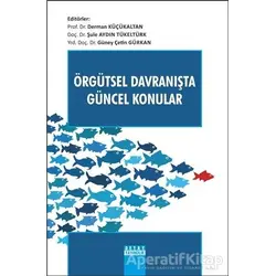 Örgütsel Davranışta Güncel Konular - Derman Küçükaltan - Detay Yayıncılık