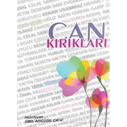 Can Kırıkları - Sibel Adıgüzel Çayır - Altın Post Yayıncılık