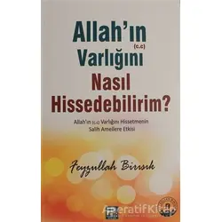 Allahın (c.c) Varlığını Nasıl Hissedebilirim? - Feyzullah Birışık - Karınca & Polen Yayınları