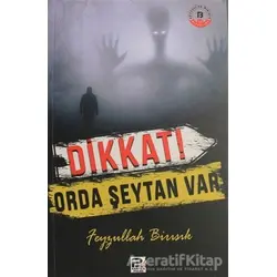 Dikkat Orda Şeytan Var - Feyzullah Birışık - Karınca & Polen Yayınları