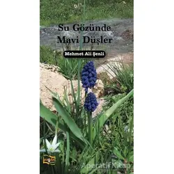 Su Gözünde Mavi Düşler - Mehmet Ali Şenli - Payda Yayıncılık