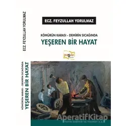 Kömürün Karası - Demirin Sıcağında Yeşeren Bir Hayat - Feyzullah Yorulmaz - Payda Yayıncılık