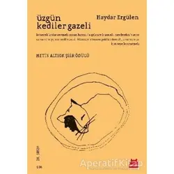 Üzgün Kediler Gazeli - Haydar Ergülen - Kırmızı Kedi Yayınevi