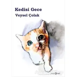 Kedisi Gece - Veysel Çolak - Hayal Yayınları