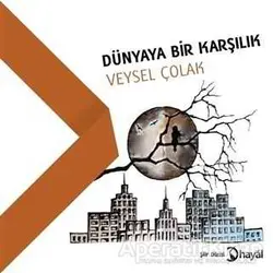 Dünyaya Bir Karşılık - Veysel Çolak - Hayal Yayınları