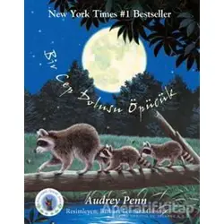 Bir Cep Dolusu Öpücük - Audrey Penn - Butik Yayınları