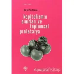 Kapitalizmin Sınırları ve Toplumsal Proletarya - Haluk Yurtsever - Yordam Kitap