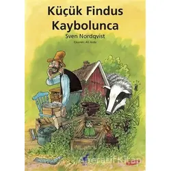Küçük Findus Kaybolunca - Sven Nordqvist - Dinozor Çocuk