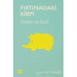 Fırtınadaki Kirpi - Stephen Jay Gould - Versus Kitap Yayınları