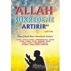 Allah Şükredene Artırır - Cahit Eriş - Gülhane Yayınları