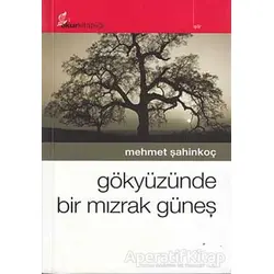 Gökyüzünde Bir Mızrak Güneş - Mehmet Şahinkoç - Okur Kitaplığı