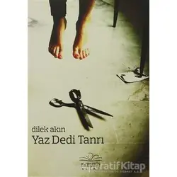 Yaz Dedi Tanrı - Dilek Akın - Nemesis Kitap