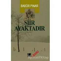 Şiir Ayaktadır - Babür Pınar - Nitelik Kitap