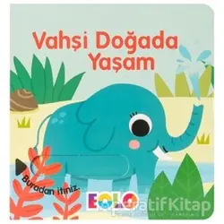 Vahşi Doğada Yaşam - Rachael Elliot - Eolo Yayıncılık