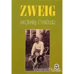 Seçilmiş Öyküler - Stefan Zweig - Cem Yayınevi