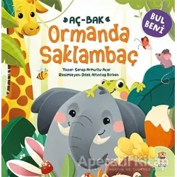 Ormanda Saklambaç - Bul Beni - Serap Armutlu Acar - Sincap Kitap