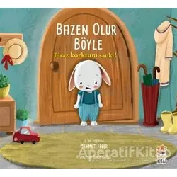 Biraz Korktum Sanki! - Bazen Olur Böyle - Mehmet Teber - Sincap Kitap