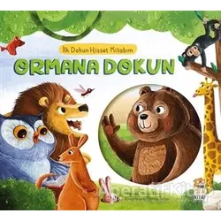 Ormana Dokun - İlk Dokun Hisset Kitabım - Melek Dinçer - Sincap Kitap