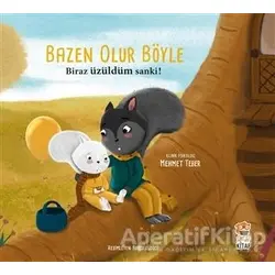 Biraz Üzüldüm Sanki! - Bazen Olur Böyle - Mehmet Teber - Sincap Kitap