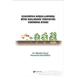 Çukurova Koşullarında Bitki Sıklığının Yerfıstığı Verimine Etkisi