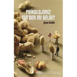 Psikolojimiz Çinden mi Geldi? - Şenol Alkan - Berikan Yayınevi