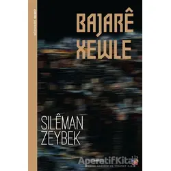 Bajare Xewle - Sileman Zeybek - Lis Basın Yayın