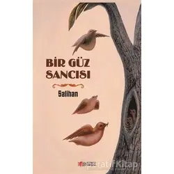 Bir Güz Sancısı - Salihan - Berikan Yayınevi