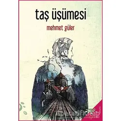 Taş Üşümesi - Mehmet Güler - h2o Kitap