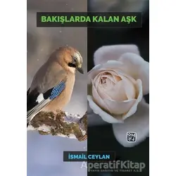 Bakışlarda Kalan Aşk - İsmail Ceylan - Kutlu Yayınevi