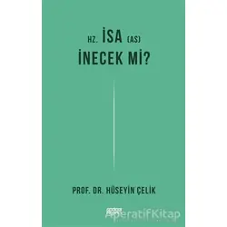 Hz. İsa İnecek mi? - Hüseyin Çelik - Rağbet Yayınları