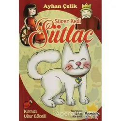 Süper Kedi Sütlaç - Ayhan Çelik - Pamiray Yayınları