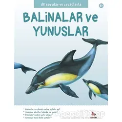 İlk Sorular ve Cevaplarla: Balinalar ve Yunuslar - Belinda Gallagher - Almidilli