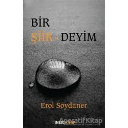 Bir Şiir-Deyim - Erol Soydaner - İmleç Kitap