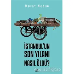 İstanbul’un Son Yılanı Nasıl Öldü? - Murat Nedim - Kara Karga Yayınları