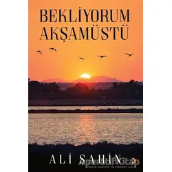 Bekliyorum Akşamüstü - Ali Şahin - Cinius Yayınları