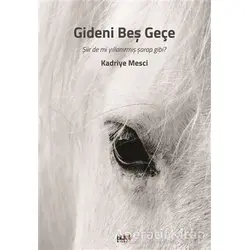 Gideni Beş Geçe - Kadriye Mesci - Tilki Kitap