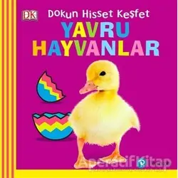 Yavru Hayvanlar Dokun Hisset Keşfet - Kolektif - Pearson Çocuk Kitapları