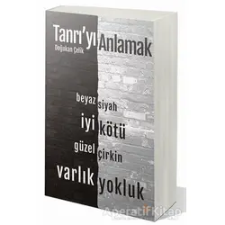Tanrı’yı Anlamak - Doğukan Çelik - Cinius Yayınları