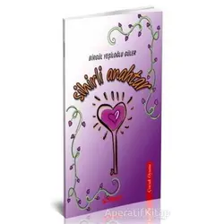 Sihirli Anahtar - Birgül Yeşiloğlu Güler - Dramatik Yayınları