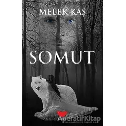 Somut - Melek Kaş - Efsus Yayınları (Kenarı Sararmış)