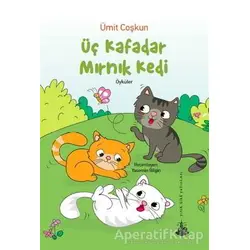 Üç Kafadar Mırnık Kedi - Ümit Coşkun - Yitik Ülke Yayınları