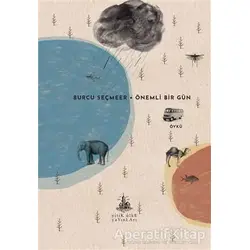 Önemli Bir Gün - Burcu Seçmeer - Yitik Ülke Yayınları