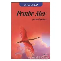 Pembe Alev - İbram Erdem - Barış Kitap
